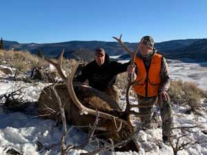 Utah Elk