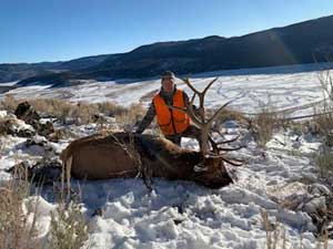 Utah Elk