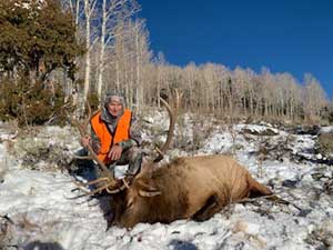 Utah Elk