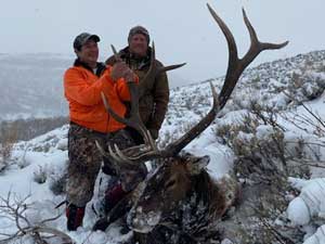 Utah Elk