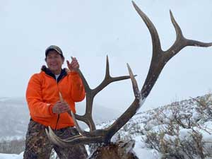 Utah Elk