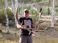 Utah Elk