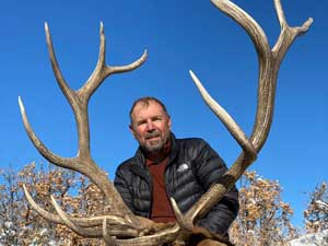 Utah Elk