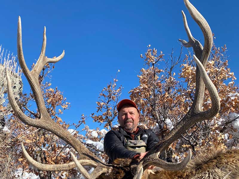 Utah Elk