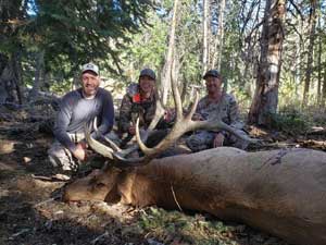 Utah Elk