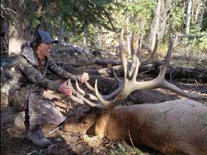 Utah Elk