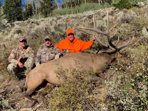 Utah Elk