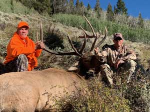 Utah Elk