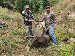 Utah Elk