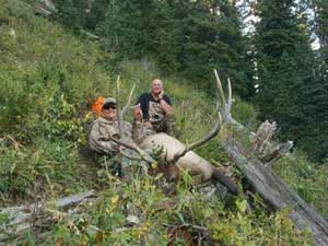 Utah Elk