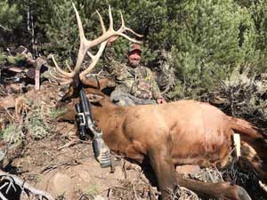 Utah Elk