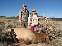 Utah Elk