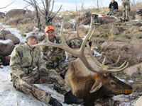 Utah Elk