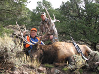 Utah Elk