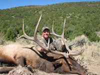 Utah Elk