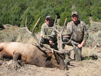 Utah Elk