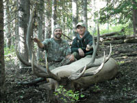 Utah Elk