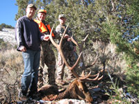 Utah Elk