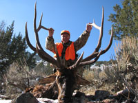 Utah Elk