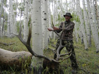 Utah Elk