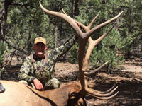 Utah Elk