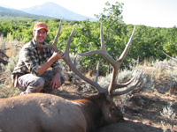 Utah Elk