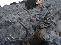 Utah Elk