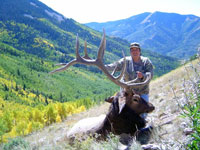 Utah Elk