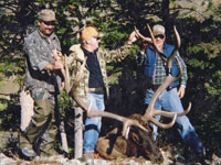 Utah Elk