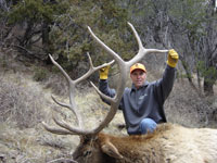 Utah Elk