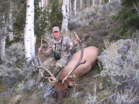 Utah Elk