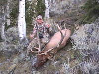 Utah Elk