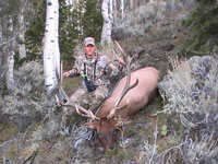 Utah Elk