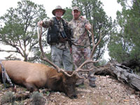 Utah Elk