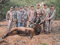 Utah Elk