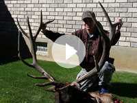 2015 Utah Bull Elk- Shane Scott Outfitting