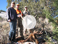 Utah Elk Hunt Shane Scott Outfitting