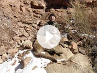 Utah Mountain Lion Hunt Shane Scott Outfitting