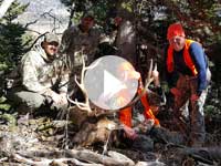 Utah Elk Hunt - Shane Scott Outfitting