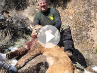 Shane Scott Outfitting-Utah Cougar Harvest Objective Tag 2015